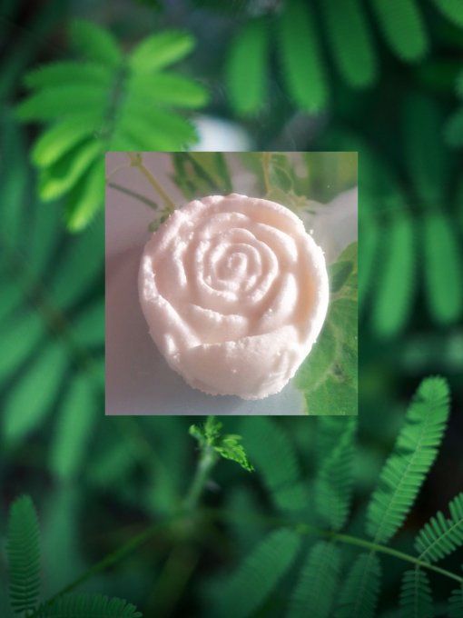 Cake/savon solide vaisselle fleur 60 gr.