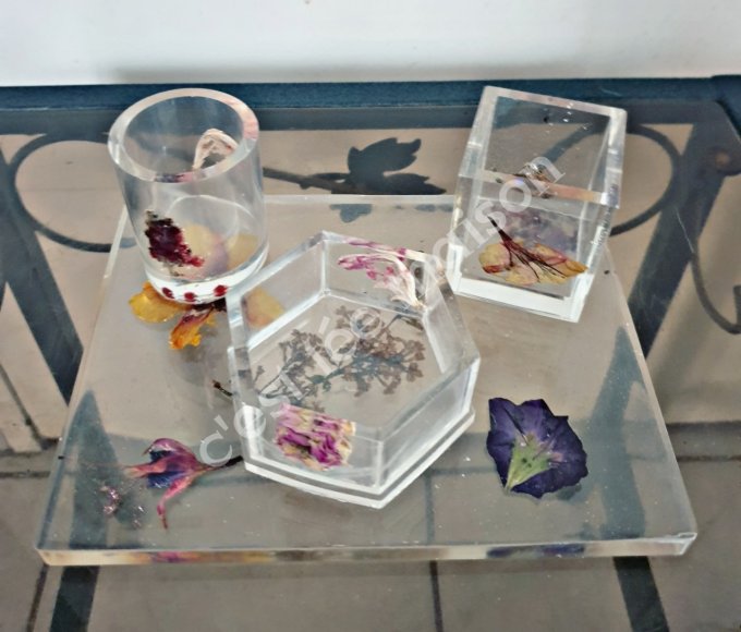 plateau et ses pots fleur papillon