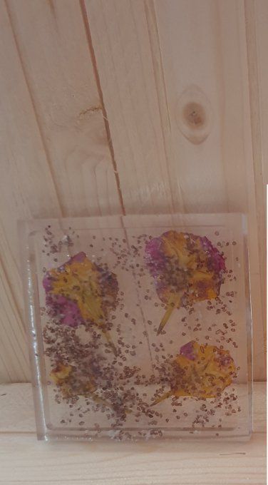 Porte éponge, savon fleur belle de nuit